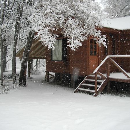 Cabanas Roble Quemado Las Trancas Luaran gambar