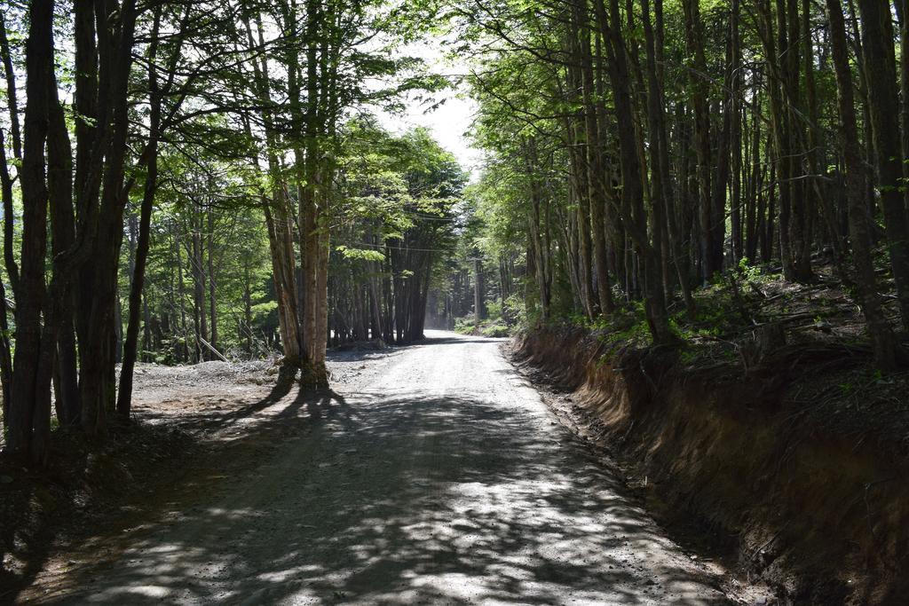 Cabanas Roble Quemado Las Trancas Bilik gambar