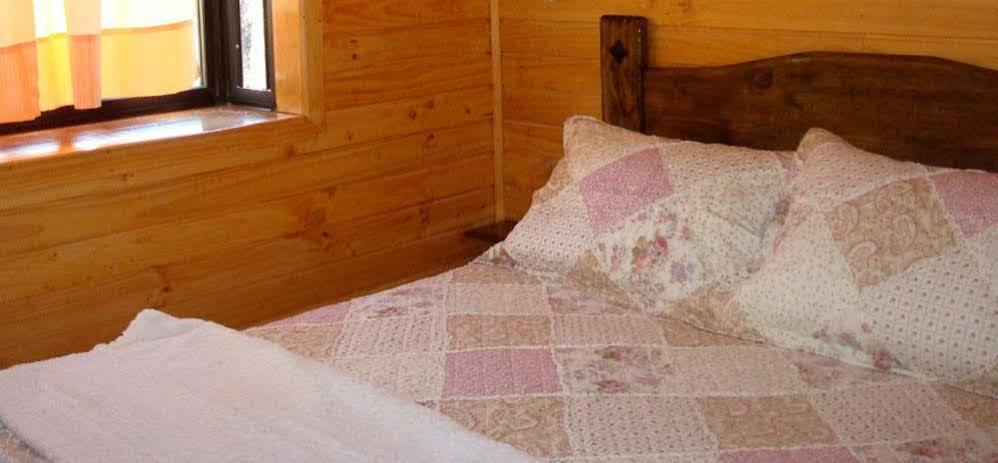 Cabanas Roble Quemado Las Trancas Luaran gambar