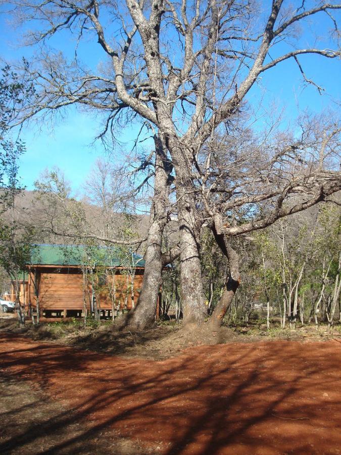 Cabanas Roble Quemado Las Trancas Bilik gambar
